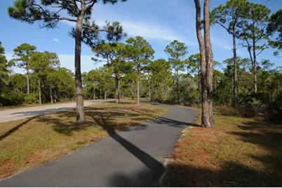 2152 Palmetto Way, Saint George Island, FL 32328 - Photo 11