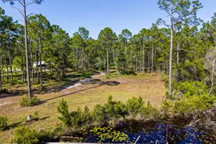 321 Baywood Dr, Carrabelle, FL 32322 - Photo 1