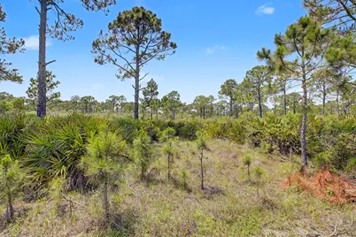 446 Bald Point Rd, Alligator Point, FL 32346 - Photo 21