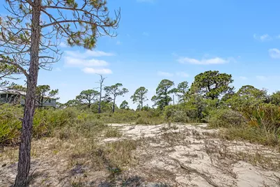 446 Bald Point Rd, Alligator Point, FL 32346 - Photo 11