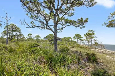 446 Bald Point Rd, Alligator Point, FL 32346 - Photo 23