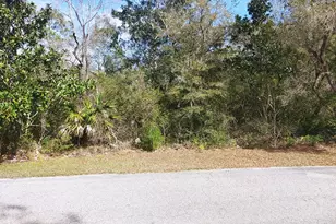 125 Water Oaks Way, Apalachicola, FL 32320 - Photo 1