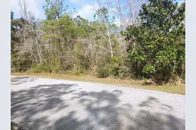 125 Water Oaks Way, Apalachicola, FL 32320 - Photo 5