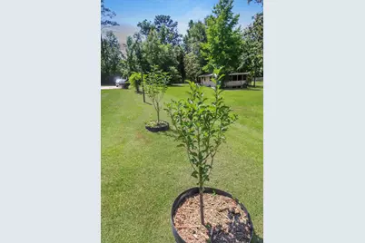 1185 E River Rd, Wewahitchka, FL 32465 - Photo 37