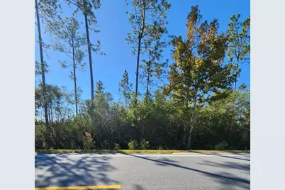 Lot 32 Doc Whitfield Rd, Wewahitchka, FL 32465 - Photo 1