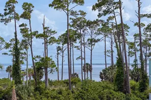 148 Rhonda del Sol Cir, Cape San Blas, FL 32456 - Photo 29