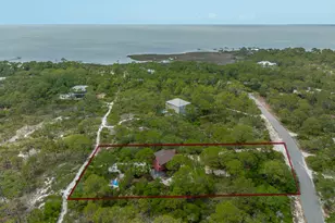1240 Sea Dune Dr, Saint George Island, FL 32328 - Photo 39