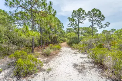 1240 Sea Dune Dr, Saint George Island, FL 32328 - Photo 41