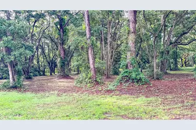 129 Franklin St, Carrabelle, FL 32322 - Photo 9