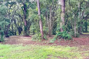 129 Franklin St, Carrabelle, FL 32322 - Photo 9