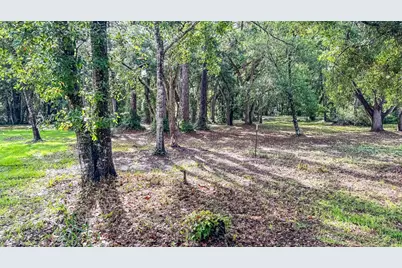 129 Franklin St, Carrabelle, FL 32322 - Photo 7
