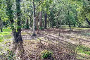 129 Franklin St, Carrabelle, FL 32322 - Photo 7