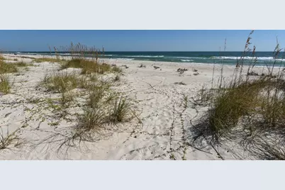 1200 E Gulf Beach Dr, Saint George Island, FL 32328 - Photo 5
