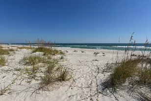 1200 E Gulf Beach Dr, Saint George Island, FL 32328 - Photo 5