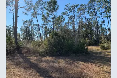 Tbd Smith Rd, Southport, FL 32409 - Photo 5