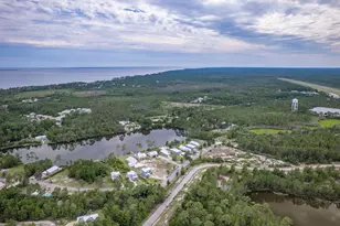 272 Lake McKissack Ln, Carrabelle, FL 32322 - Photo 49