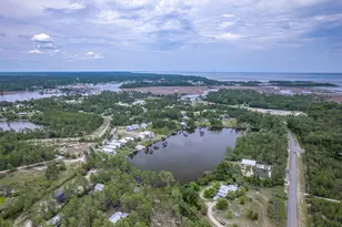 272 Lake McKissack Ln, Carrabelle, FL 32322 - Photo 51