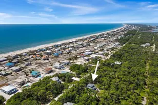 825 E Pine Ave, Saint George Island, FL 32328 - Photo 61