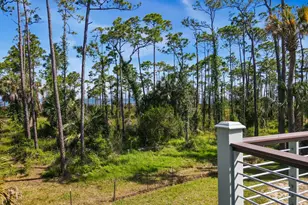 825 E Pine Ave, Saint George Island, FL 32328 - Photo 47