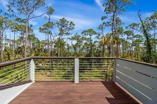 825 E Pine Ave, Saint George Island, FL 32328 - Photo 33
