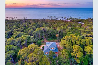 825 E Pine Ave, Saint George Island, FL 32328 - Photo 3