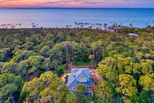 825 E Pine Ave, Saint George Island, FL 32328 - Photo 3