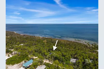 825 E Pine Ave, Saint George Island, FL 32328 - Photo 59