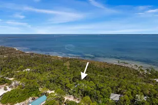 825 E Pine Ave, Saint George Island, FL 32328 - Photo 59