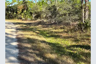 1012 Porter St, Saint George Island, FL 32328 - Photo 5