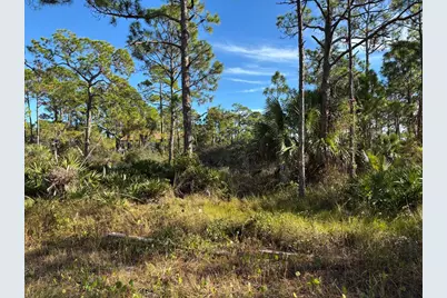 1012 Porter St, Saint George Island, FL 32328 - Photo 3