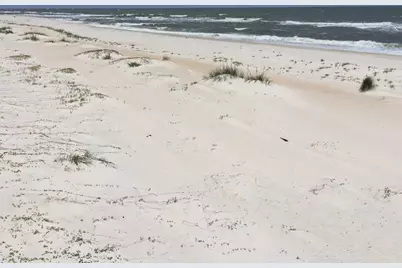 1012 Porter St, Saint George Island, FL 32328 - Photo 11