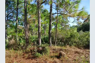 1012 Porter St, Saint George Island, FL 32328 - Photo 1