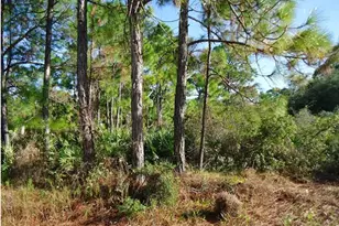 1012 Porter St, Saint George Island, FL 32328 - Photo 1