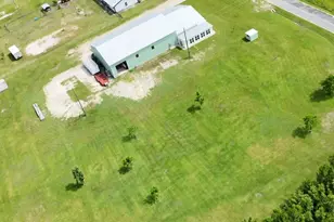 130 Golden Rod Ln, Wewahitchka, FL 32465 - Photo 17