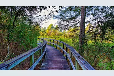 130 Skimmer Dr, Carrabelle, FL 32323 - Photo 15