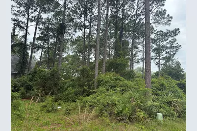 130 Skimmer Dr, Carrabelle, FL 32323 - Photo 7