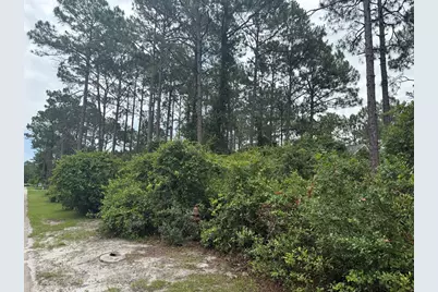 130 Skimmer Dr, Carrabelle, FL 32323 - Photo 9