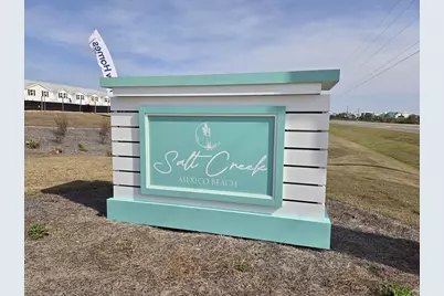 203 Salt Creek Ln, Mexico Beach, FL 32456 - Photo 5