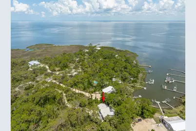 1223 Avocet Ln, Saint George Island, FL 32328 - Photo 9
