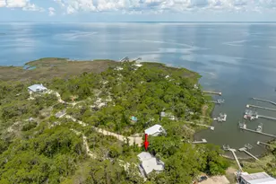 1223 Avocet Ln, Saint George Island, FL 32328 - Photo 9