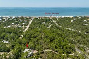 1223 Avocet Ln, Saint George Island, FL 32328 - Photo 11