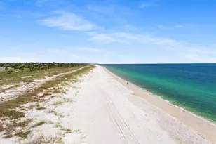316 Sea Tern Ln, Port Saint Joe, FL 32456 - Photo 49