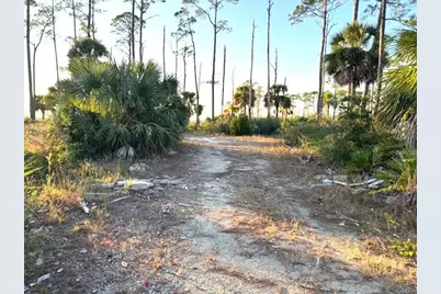 Lot 1 Sr 30-A, Port Saint Joe, FL 32456 - Photo 3