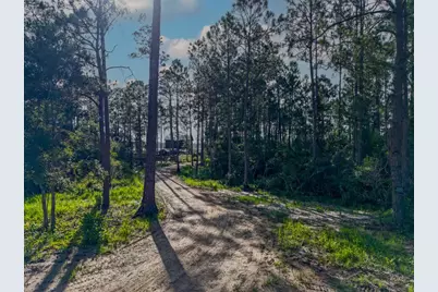 150 New River Ln, Carrabelle, FL 32322 - Photo 9