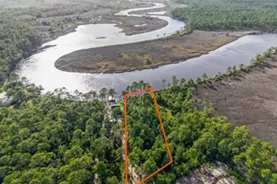 150 New River Ln, Carrabelle, FL 32322 - Photo 1