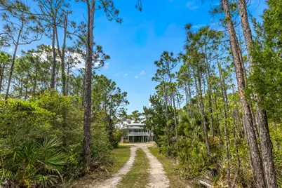 2039 Sand Dollar Trl, Saint George Island, FL 32328 - Photo 3