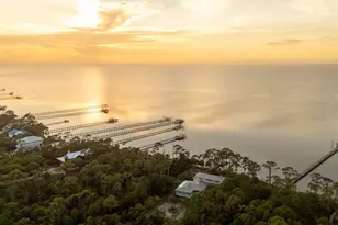 2039 Sand Dollar Trail, Saint George Island, FL 32328 - Photo 5