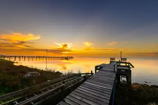 2039 Sand Dollar Trail, Saint George Island, FL 32328 - Photo 97