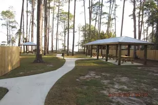 334 Eagles Way, Carrabelle, FL 32322 - Photo 57