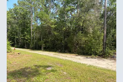 Lot 18 Pamela Pl, Sopchoppy, FL 32358 - Photo 3